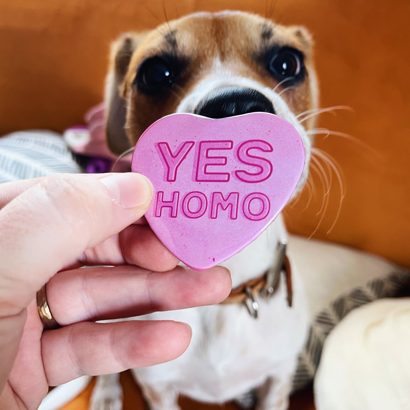 Yes Homo Heart Shaped 2.25” Button